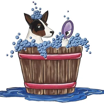 baileysbathhouse.com's icon