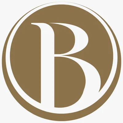 bakhachegroup.com.my's icon