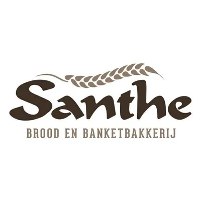 bakkerijsanthe.nl's icon