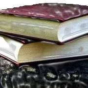 balancedaccountant.com's icon