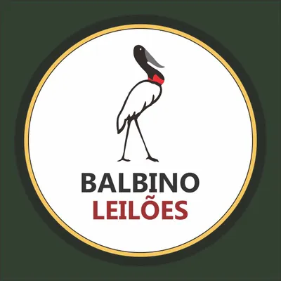 balbinoleiloes.com.br's icon