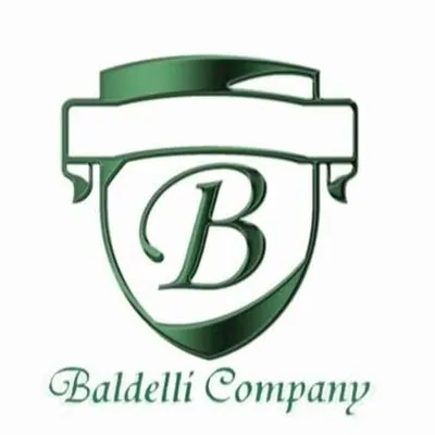 baldelli-company.com's icon