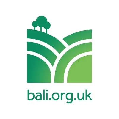 bali.org.uk's icon