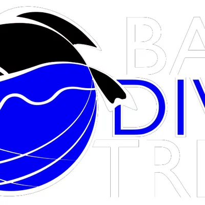 balidivetrek.com's icon