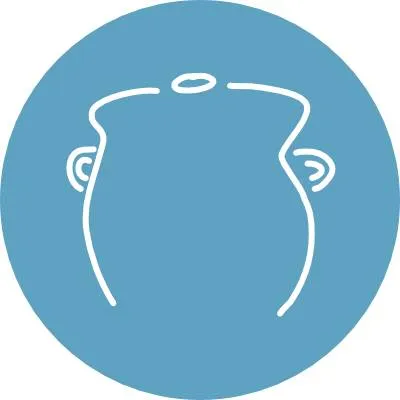balkanlunchbox.com's icon