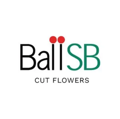 ballsb.com's icon