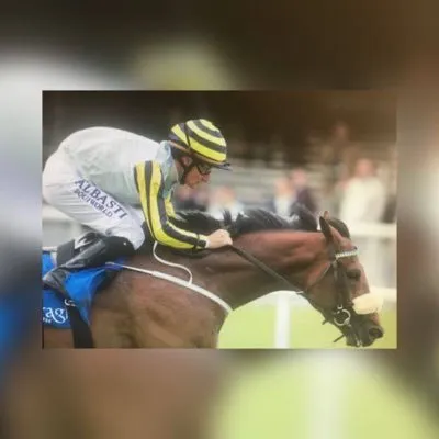 ballygallonstud.com's icon