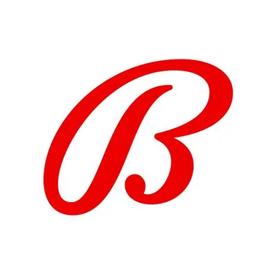 ballyplay.com's icon