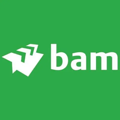 baminfra.nl's icon