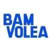 bamvolea.com's icon
