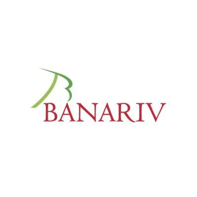 banariv.com.ec's icon