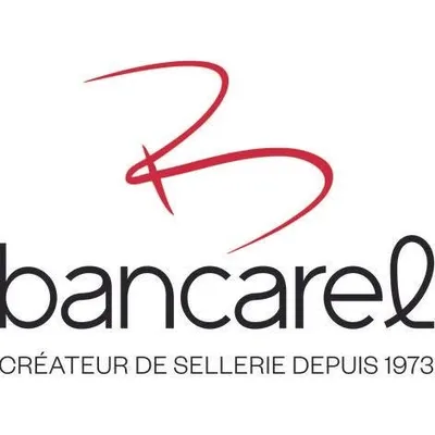 bancarel.com's icon