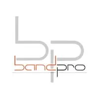 bandpro.co.il's icon