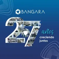 bangara.com.ec's icon
