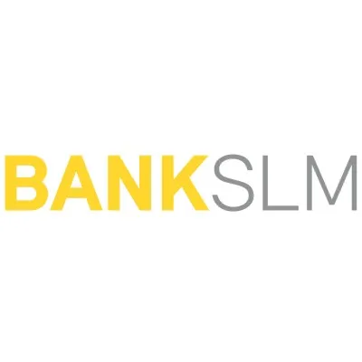 bankslm.ch's icon
