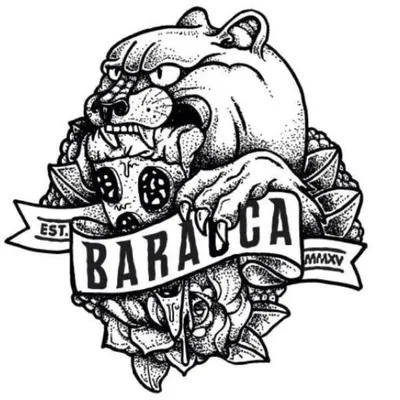 baracca.be's icon