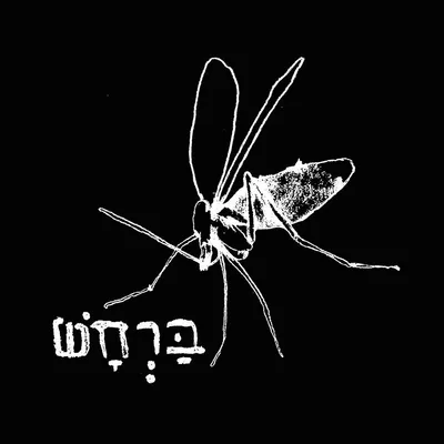 barhash.com's icon