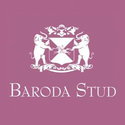 barodastud.com's icon