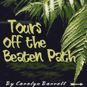 barrettadventures.com's icon