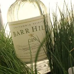 barrhill.com's icon