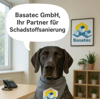 basatec.lu's icon