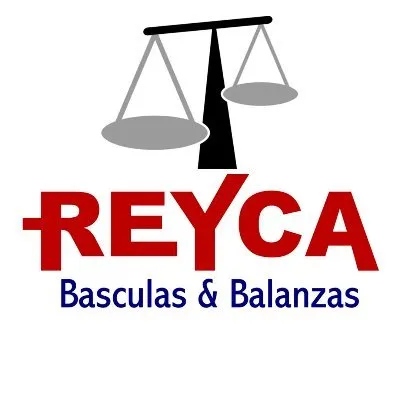 basculasreyca.com's icon