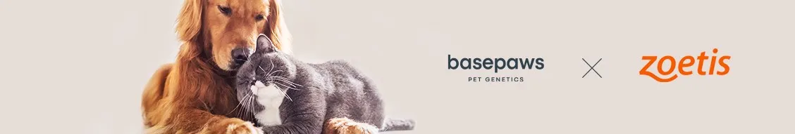 Basepaws banner
