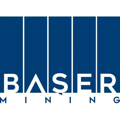 basermining.com's icon