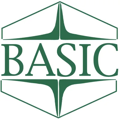 basicbanklimited.com's icon