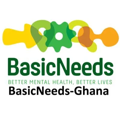 basicneedsghana.org's icon