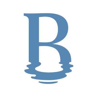 basinwhite.com's icon
