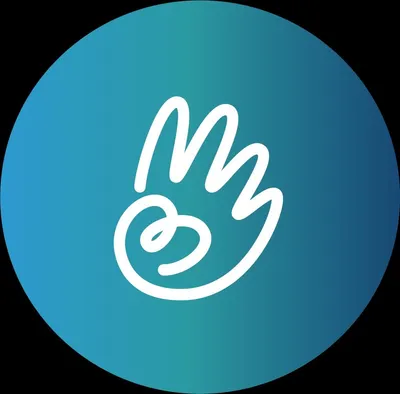 basketsauxpieds.fr's icon