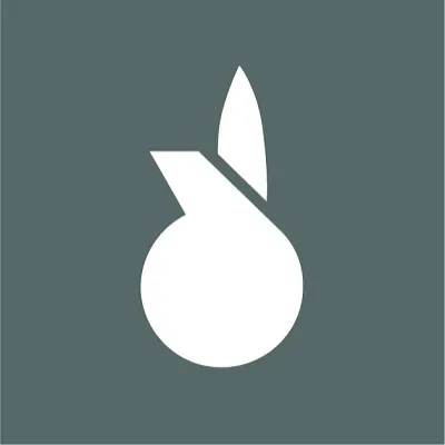 bassermann.com's icon