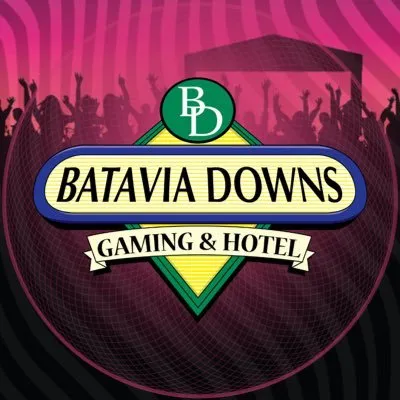 bataviadownsgaming.com's icon