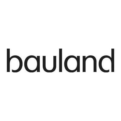 bauland.lt's icon