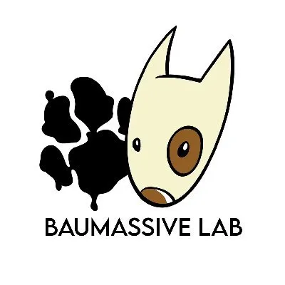 baumassivelab.com's icon