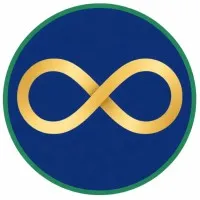 bavixallygroup.com's icon