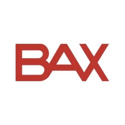 bax-group.com's icon