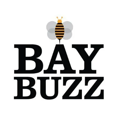 baybuzz.co.nz's icon