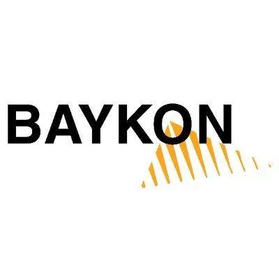 baykon.com's icon