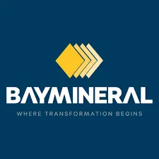 baymineral.com's icon