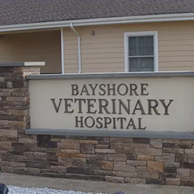 bayshore-vet.com's icon
