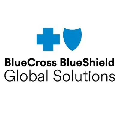 bcbsglobalsolutions.com's icon