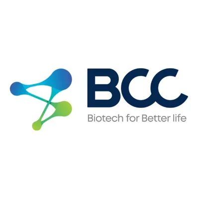 bccgroup.com.vn's icon