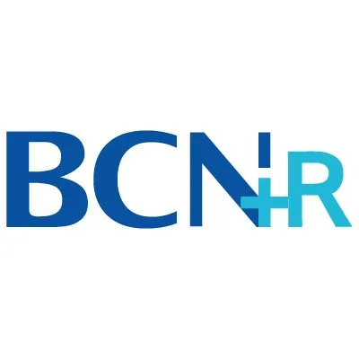 bcnretail.com's icon