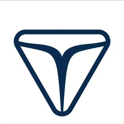 bcraftboats.com's icon