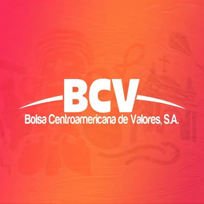bcv.hn's icon
