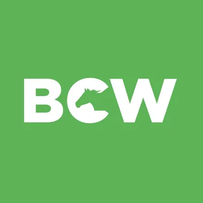 bcwaregem.be's icon