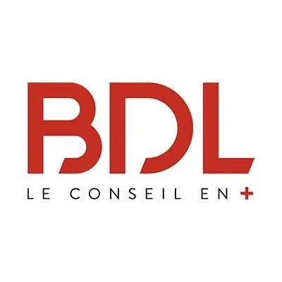 bdl-experts.com's icon