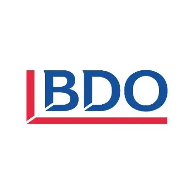 bdo.com.py's icon